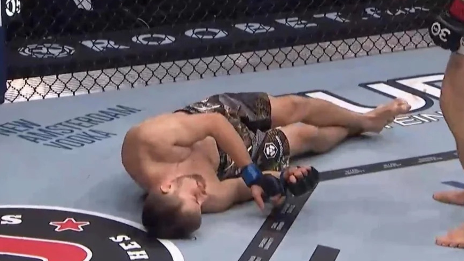 What is the most brutal knockout in UFC history? : r/ufc